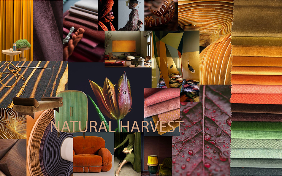 Naturalharvest Stalen Raymakers